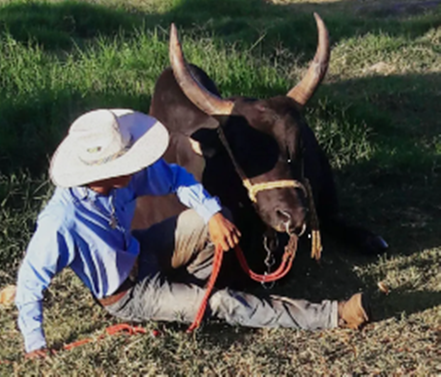 Acidente com Antônio Carlos Filho ocorreu na 30ª Festa do Peão de Sabino — Foto: Anedina Azevedo/Arquivo pessoal