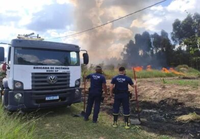 Guarda Civil de Buri é chamada para combater grande queimada em fazenda de pinus